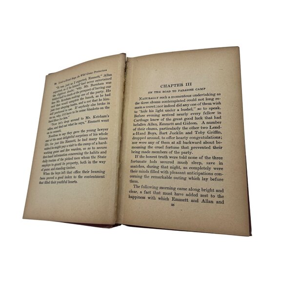 Lend-a-Hand Boys as Wild Game Protectors 1931 St. George Rathborne - Picture 7 of 9